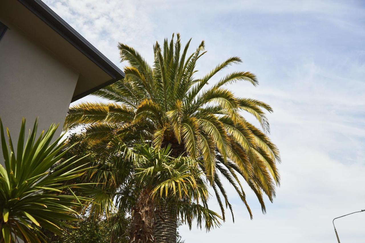 Blenheim Palms Motel Экстерьер фото